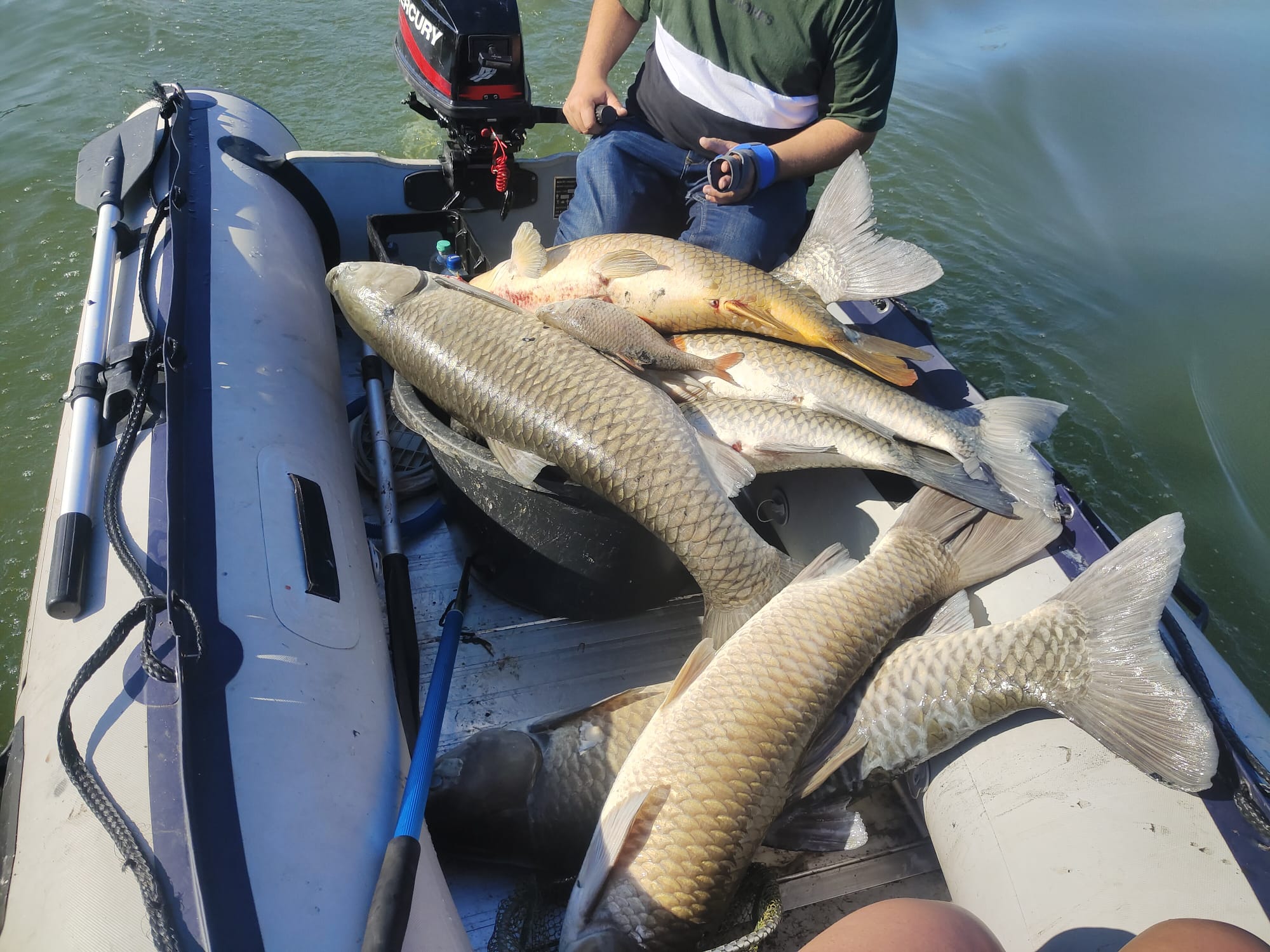 Sauerstoffmangel 2023